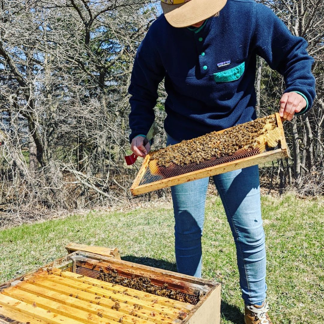 Melifera - École d'apiculture nomade